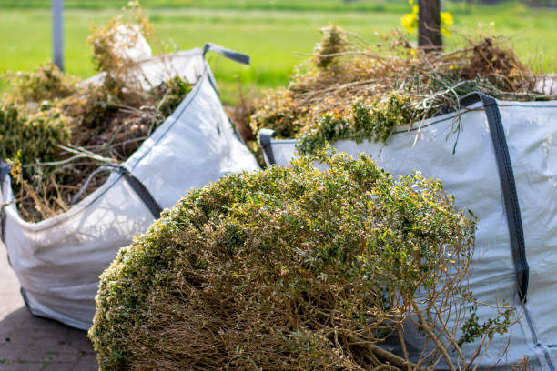 Best Commercial Cleanout Services  in Lee Acres, NM